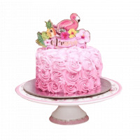 Flamingo Pink Cake online delivery in Noida, Delhi, NCR,
                    Gurgaon