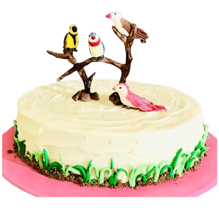 Bird Lover Cake online delivery in Noida, Delhi, NCR, Gurgaon