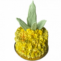 Tropical Pineapple Cake online delivery in Noida, Delhi, NCR,
                    Gurgaon