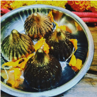 Plain Chocolate Modak pack of 4 online delivery in Noida, Delhi, NCR,
                    Gurgaon