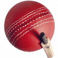 Cricket Theme Pinata Cake online delivery in Noida, Delhi, NCR,
                    Gurgaon