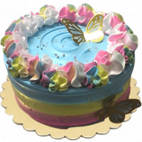 Colorful Birthday Butterfly Cake online delivery in Noida, Delhi, NCR,
                    Gurgaon