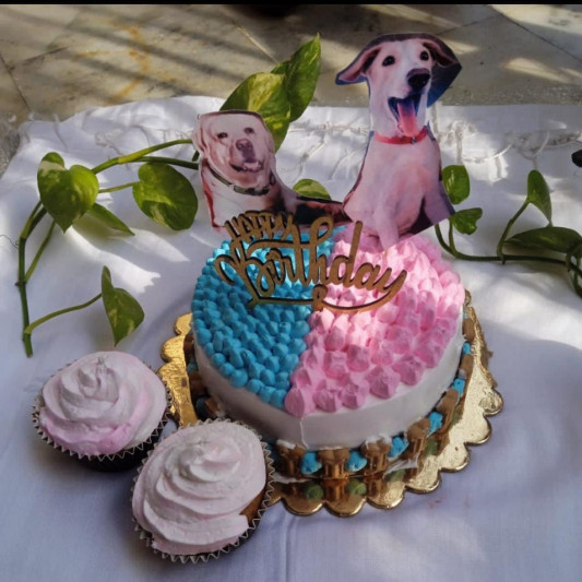 Special Cream Cake for Dog online delivery in Noida, Delhi, NCR, Gurgaon