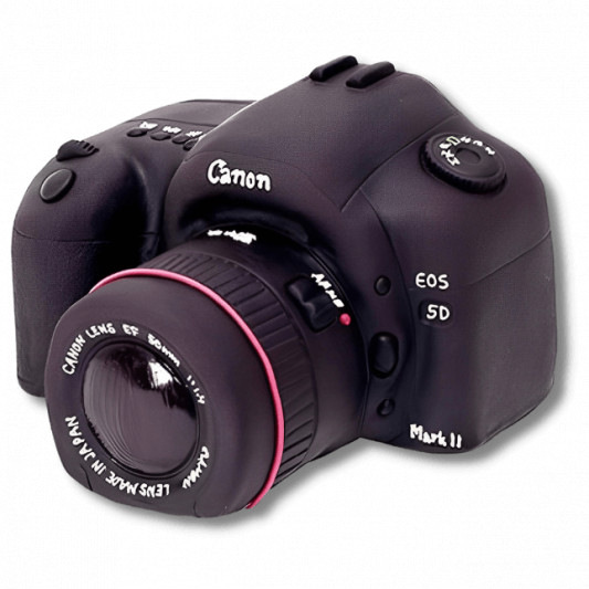 DSLR camera Cake online delivery in Noida, Delhi, NCR, Gurgaon