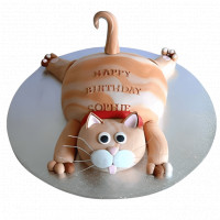 Kitty Lady Cake online delivery in Noida, Delhi, NCR,
                    Gurgaon