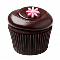 Chocolate Squared Cupcakes online delivery in Noida, Delhi, NCR,
                    Gurgaon