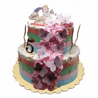 2 tier Butterfly Cake online delivery in Noida, Delhi, NCR,
                    Gurgaon
