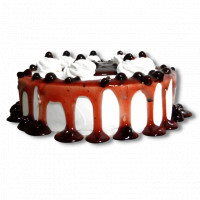 Amazingly delicious blueberry cake online delivery in Noida, Delhi, NCR,
                    Gurgaon