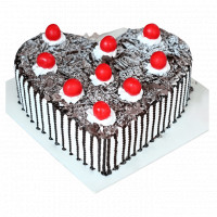 Decadent Black Forest Cake online delivery in Noida, Delhi, NCR,
                    Gurgaon