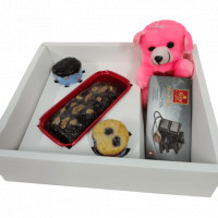 Gift of Teddy Bear and Chocolate Special Combo online delivery in Noida, Delhi, NCR,
                    Gurgaon