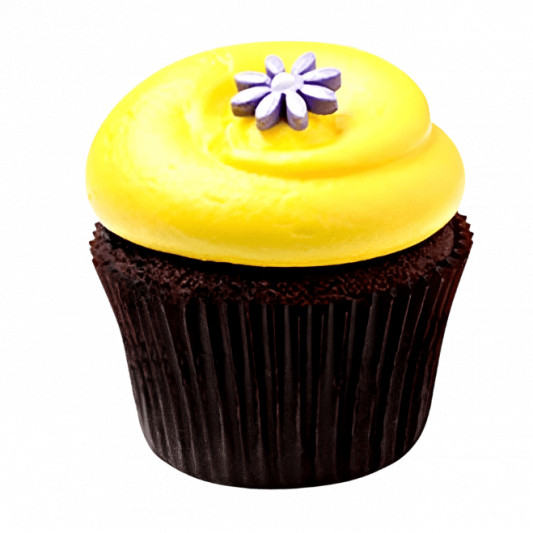 Sunshine Chocolate Cupcakes online delivery in Noida, Delhi, NCR, Gurgaon