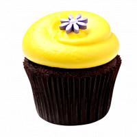 Sunshine Chocolate Cupcakes online delivery in Noida, Delhi, NCR,
                    Gurgaon