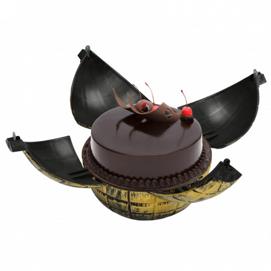 Bomb Box Surprise Cake online delivery in Noida, Delhi, NCR, Gurgaon